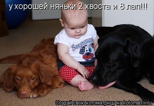 у хорошей няньки 2 хвоста и 8 лап!!!... Котоматрица: у хорошей няньки 2 хвоста и 8 лап!!!