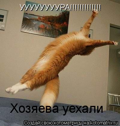УУУУУУУУРА!!!!!!!!!!!!! Хозяева уехали... Котоматрица: УУУУУУУУРА!!!!!!!!!!!!! Хозяева уехали