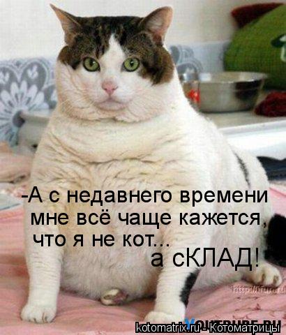 -А с недавнего времени мне всё чаще кажется, что я не кот... а сКЛАД!... Котоматрица: -А с недавнего времени мне всё чаще кажется, что я не кот... а сКЛАД!