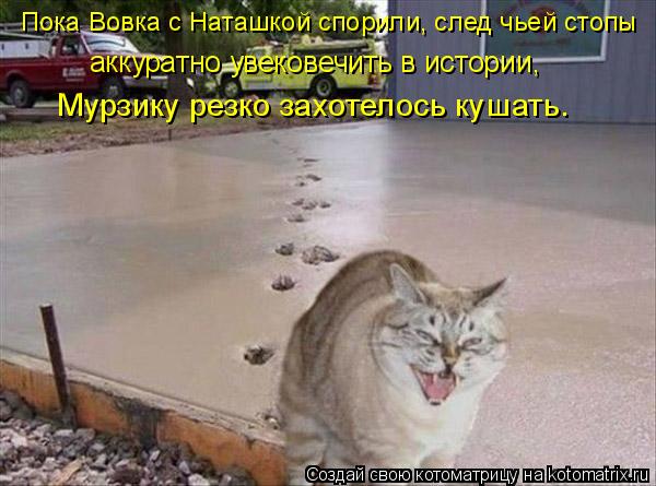 Котоматрица: Пока Вовка с Наташкой спорили, след чьей стопы аккуратно увековечить в истории,  Мурзику резко захотелось кушать.