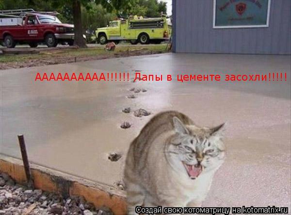 АААААААААА!!!!!! Лапы в цементе засохли!!!!!... Котоматрица: АААААААААА!!!!!! Лапы в цементе засохли!!!!!