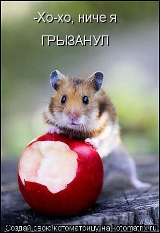 -Хо-хо, ниче я ГРЫЗАНУЛ... Котоматрица: -Хо-хо, ниче я ГРЫЗАНУЛ
