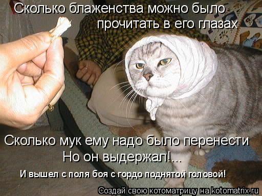 Сколько блаженства можно было прочитать в его глазах Сколько мук ему надо было перенести Но он выдерж... Котоматрица: Сколько блаженства можно было прочитать в его глазах Сколько мук ему надо было перенести Но он выдержал!... И вышел с поля боя с гордо поднят