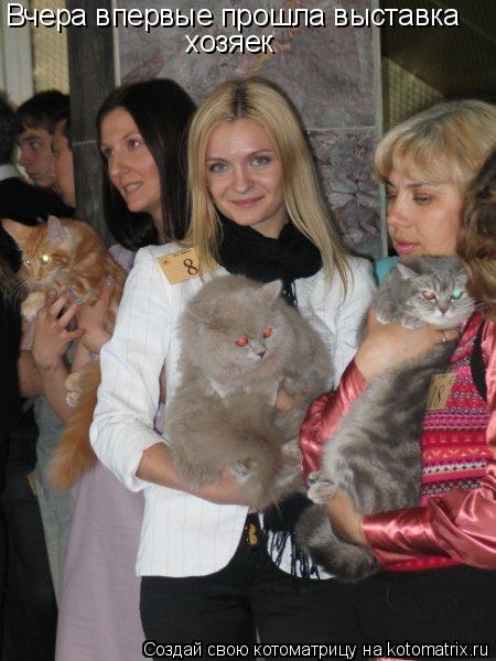 Вчера впервые прошла выставка хозяек... Котоматрица: Вчера впервые прошла выставка хозяек