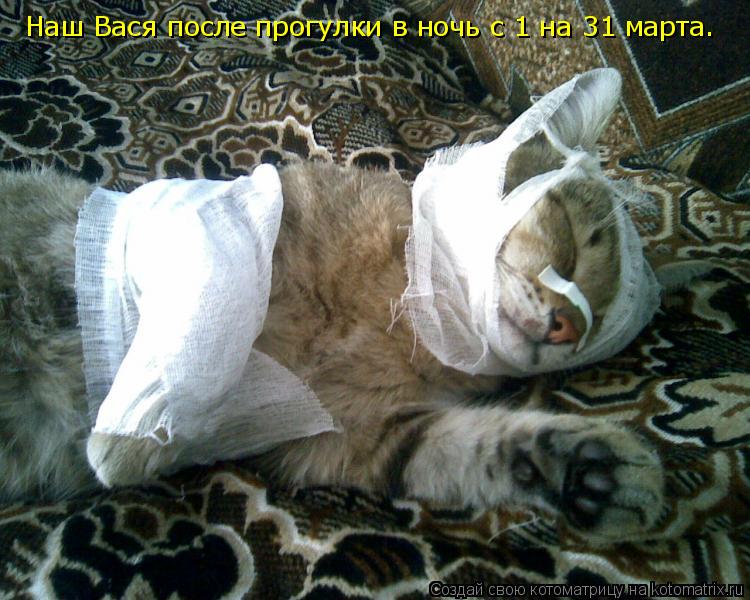 Наш Вася после прогулки в ночь с 1 на 31 марта.... Котоматрица: Наш Вася после прогулки в ночь с 1 на 31 марта.