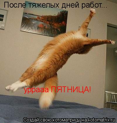 После тяжелых дней работ... уррааа ПЯТНИЦА!... Котоматрица: После тяжелых дней работ... уррааа ПЯТНИЦА!