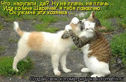 Что, наругали, да? Ну не плачь, не плачь ... Иди ко мне Шаричек, я тебя пожалею. Ох уж мне эти хозя... Котоматрица: Что, наругали, да? Ну не плачь, не плачь ... Иди ко мне Шаричек, я тебя пожалею. Ох уж мне эти хозяева ...