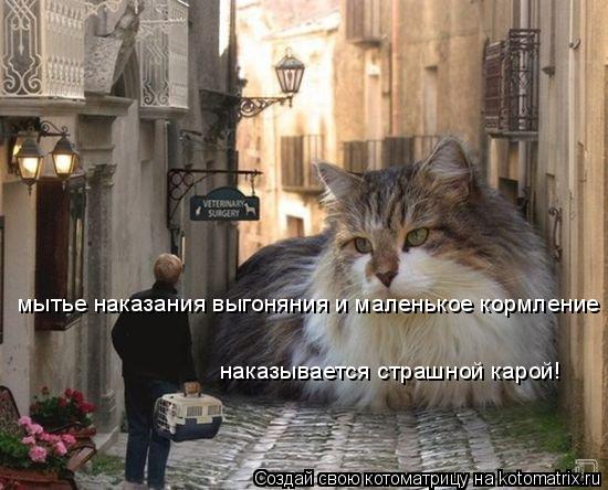 мытье наказания выгоняния и маленькое кормление наказывается страшной карой!... Котоматрица: мытье наказания выгоняния и маленькое кормление наказывается страшной карой!