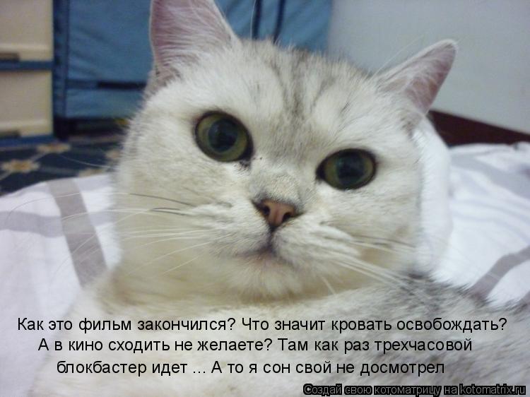 Как это фильм закончился? Что значит кровать освобождать? А в кино сходить не желаете? Там как раз т... Котоматрица: Как это фильм закончился? Что значит кровать освобождать? А в кино сходить не желаете? Там как раз трехчасовой блокбастер идет ... А то я сон