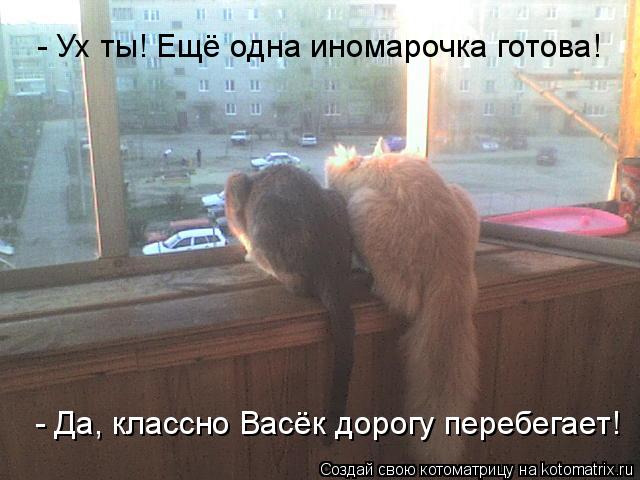 - Ух ты! Ещё одна иномарочка готова! - Да, классно Васёк дорогу перебегает!... Котоматрица: - Ух ты! Ещё одна иномарочка готова! - Да, классно Васёк дорогу перебегает!
