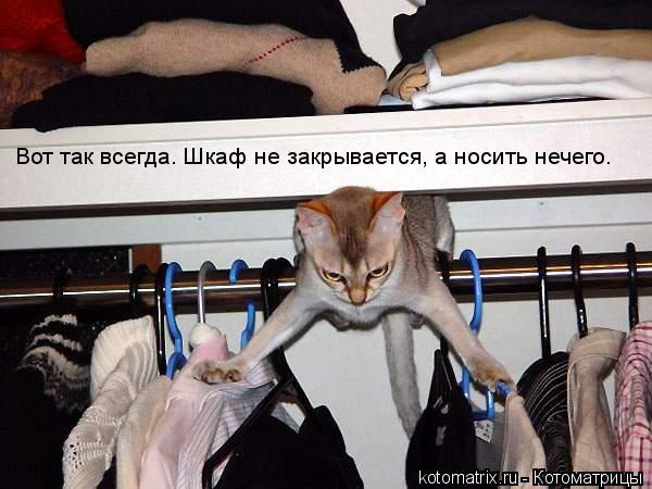 Вот так всегда. Шкаф не закрывается, а носить нечего.... Котоматрица: Вот так всегда. Шкаф не закрывается, а носить нечего.