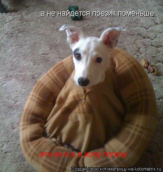 а не найдётся презик поменьше - ато не я ж в жопу полезу... Котоматрица: а не найдётся презик поменьше - ато не я ж в жопу полезу