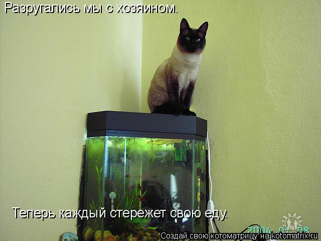 Разругались мы с хозяином. Теперь каждый стережет свою еду.... Котоматрица: Разругались мы с хозяином. Теперь каждый стережет свою еду.