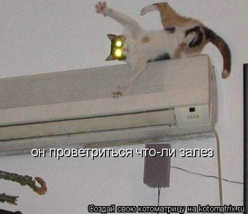 он проветриться что-ли залез... Котоматрица: он проветриться что-ли залез