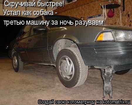 Скручивай быстрее! Устал как собака - третью машину за ночь разуваем... Котоматрица: Скручивай быстрее! Устал как собака - третью машину за ночь разуваем