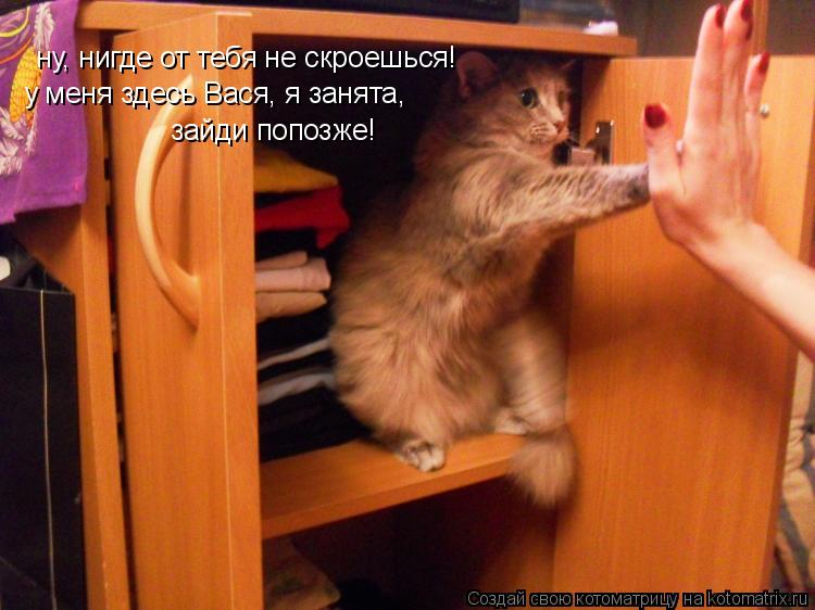 Котоматрица: ну, нигде от тебя не скроешься! у меня здесь Вася, я занята, зайди попозже!