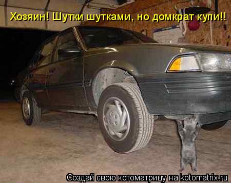 Хозяин! Шутки шутками, но домкрат купи!!... Котоматрица: Хозяин! Шутки шутками, но домкрат купи!!