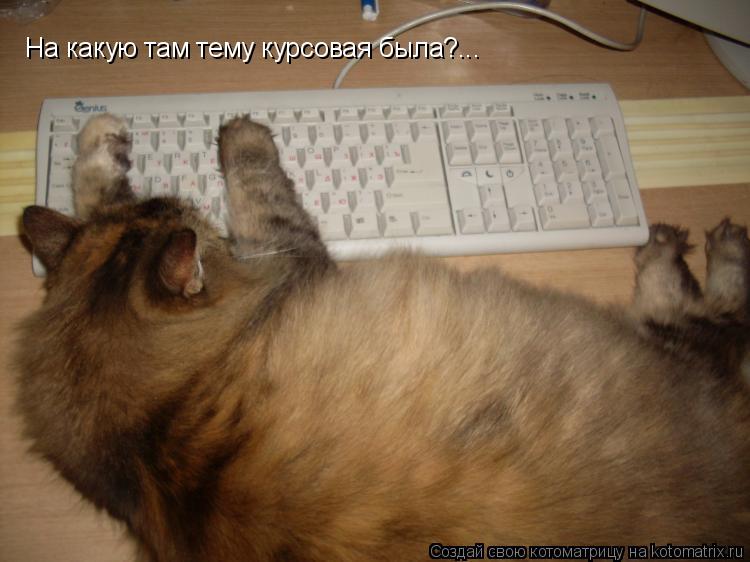 На какую там тему курсовая была?...... Котоматрица: На какую там тему курсовая была?...