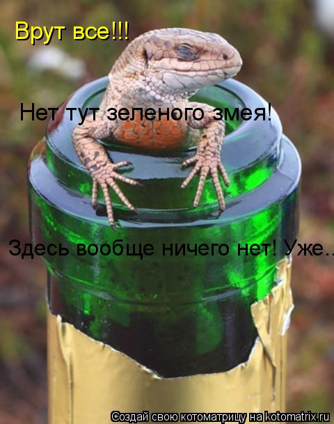 Врут все!!! Нет тут зеленого змея! Здесь вообще ничего нет! Уже...... Котоматрица: Врут все!!! Нет тут зеленого змея! Здесь вообще ничего нет! Уже...