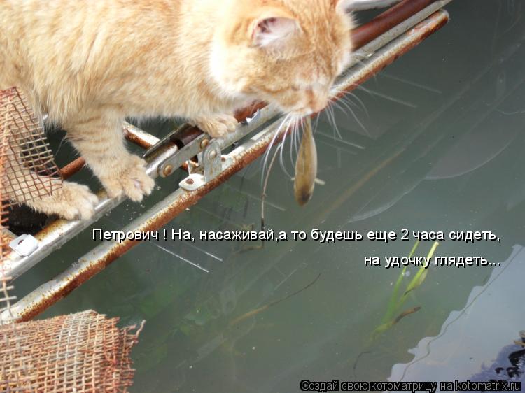 Петрович ! На, насаживай,а то будешь еще 2 часа сидеть, на удочку глядеть...... Котоматрица: Петрович ! На, насаживай,а то будешь еще 2 часа сидеть, на удочку глядеть...