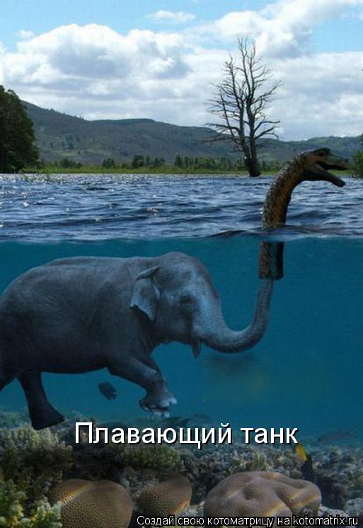 Плавающий танк... Котоматрица: Плавающий танк