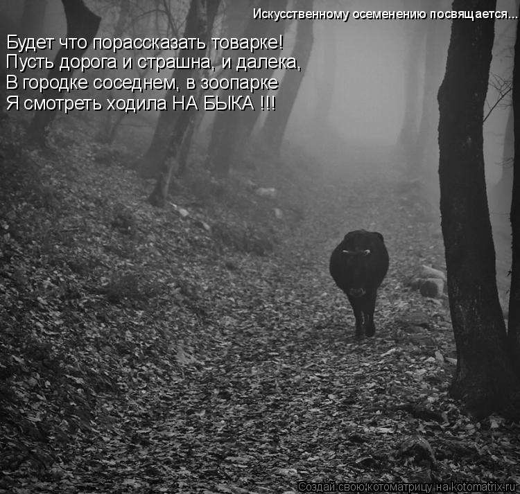 Будет что порассказать товарке! Пусть дорога и страшна, и далека, В городке соседнем, в зоопарке Я см... Котоматрица: Будет что порассказать товарке! Пусть дорога и страшна, и далека, В городке соседнем, в зоопарке Я смотреть ходила НА БЫКА !!! Искусственному