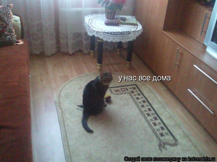 у нас все дома... Котоматрица: у нас все дома