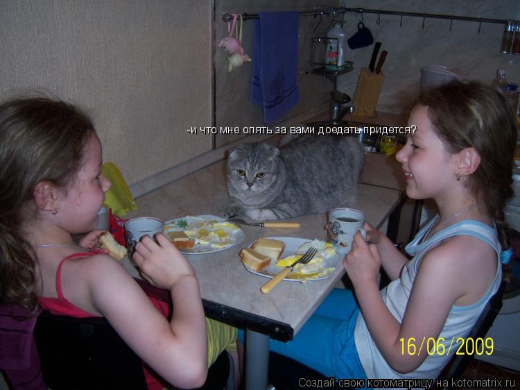 -и что мне опять за вами доедать придется?... Котоматрица: -и что мне опять за вами доедать придется?