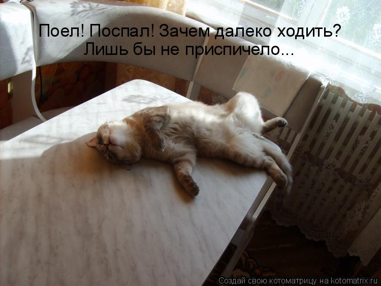 Поел! Поспал! Зачем далеко ходить? Лишь бы не приспичело...... Котоматрица: Поел! Поспал! Зачем далеко ходить? Лишь бы не приспичело...