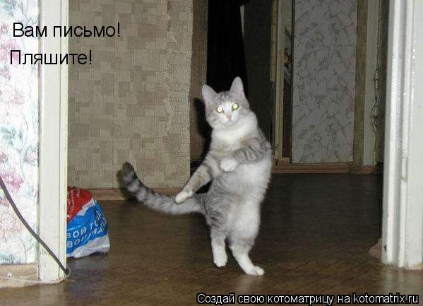 Вам письмо! Пляшите!... Котоматрица: Вам письмо! Пляшите!