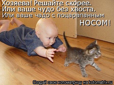 Хозяева! Решайте скорее. Или ваше чудо без хвоста. Или ваше чадо с поцарапанным НОСОМ!... Котоматрица: Хозяева! Решайте скорее. Или ваше чудо без хвоста. Или ваше чадо с поцарапанным НОСОМ!
