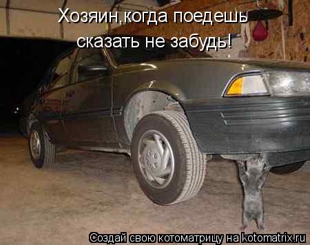 Хозяин,когда поедешь сказать не забудь!... Котоматрица: Хозяин,когда поедешь сказать не забудь!