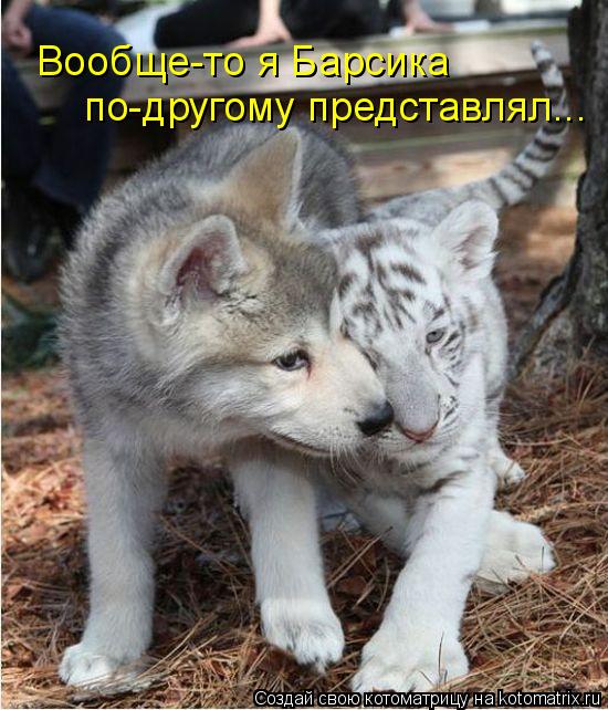 Вообще-то я Барсика по-другому представлял...... Котоматрица: Вообще-то я Барсика по-другому представлял...