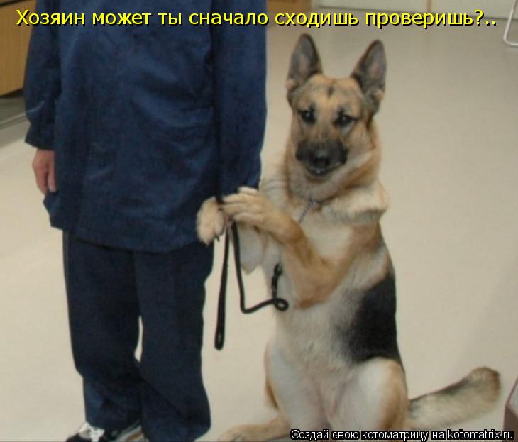 Хозяин может ты сначало сходишь проверишь?..... Котоматрица: Хозяин может ты сначало сходишь проверишь?..
