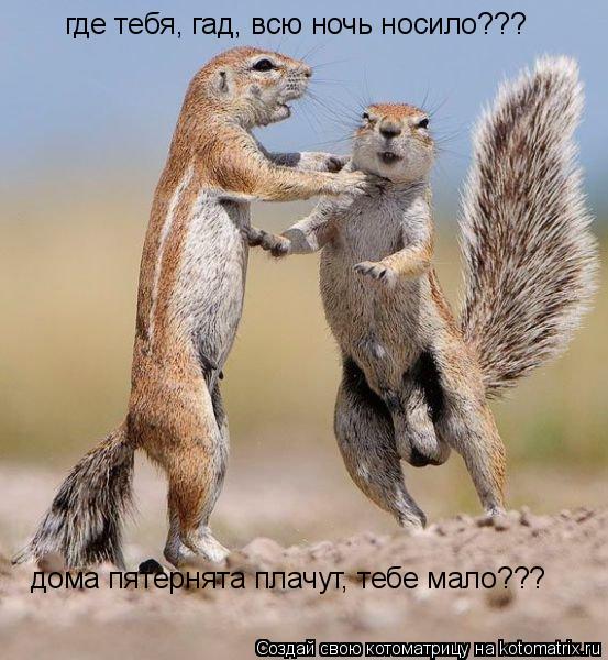 где тебя, гад, всю ночь носило??? дома пятернята плачут, тебе мало???... Котоматрица: где тебя, гад, всю ночь носило??? дома пятернята плачут, тебе мало???