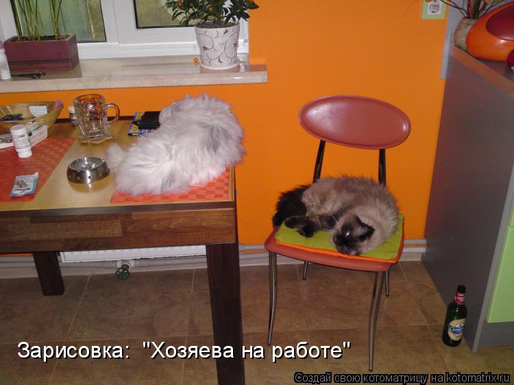 Зарисовка: "Хозяева на работе"... Котоматрица: Зарисовка: "Хозяева на работе"