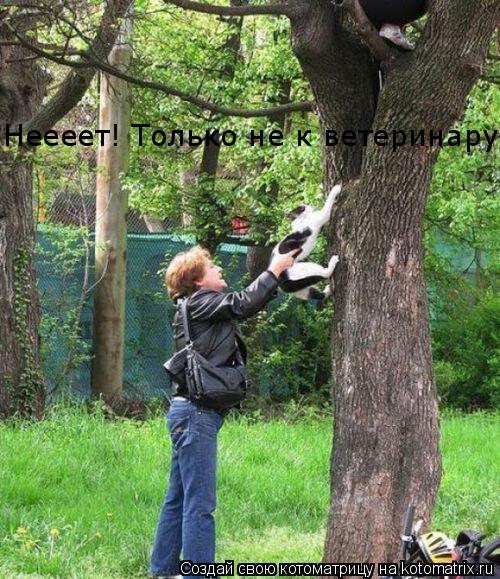 Неееет! Только не к ветеринару!... Котоматрица: Неееет! Только не к ветеринару!