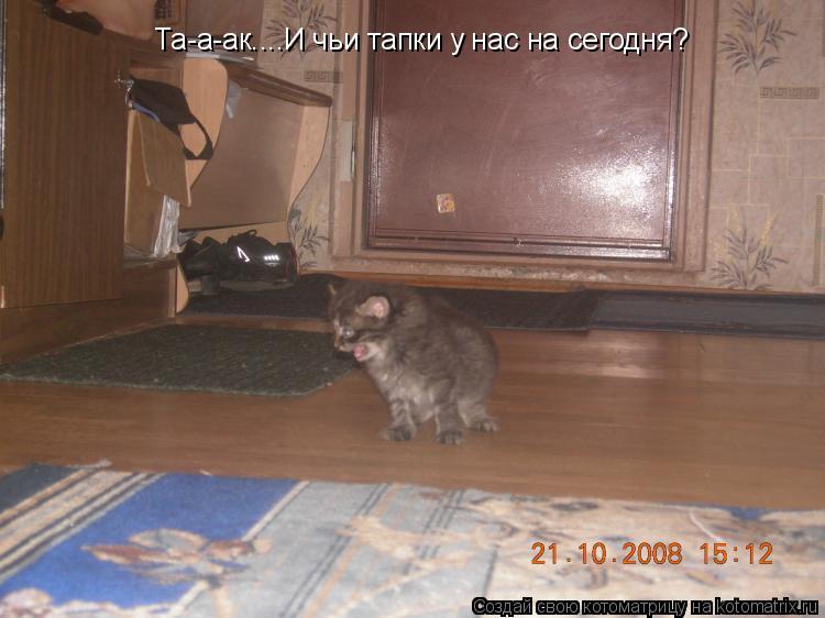 Та-а-ак....И чьи тапки у нас на сегодня?... Котоматрица: Та-а-ак....И чьи тапки у нас на сегодня?