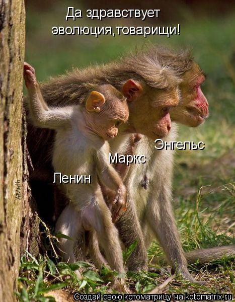 Ленин Маркс Энгельс Да здравствует эволюция,товарищи!... Котоматрица: Ленин Маркс Энгельс Да здравствует эволюция,товарищи!