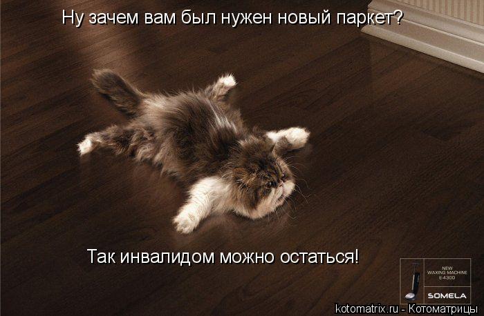 Ну зачем вам был нужен новый паркет? Так инвалидом можно остаться!... Котоматрица: Ну зачем вам был нужен новый паркет? Так инвалидом можно остаться!