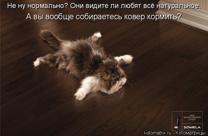 Не ну нормально? Они видите ли любят всё натуральное. А вы вообще собираетесь ковер кормить?... Котоматрица: Не ну нормально? Они видите ли любят всё натуральное. А вы вообще собираетесь ковер кормить?