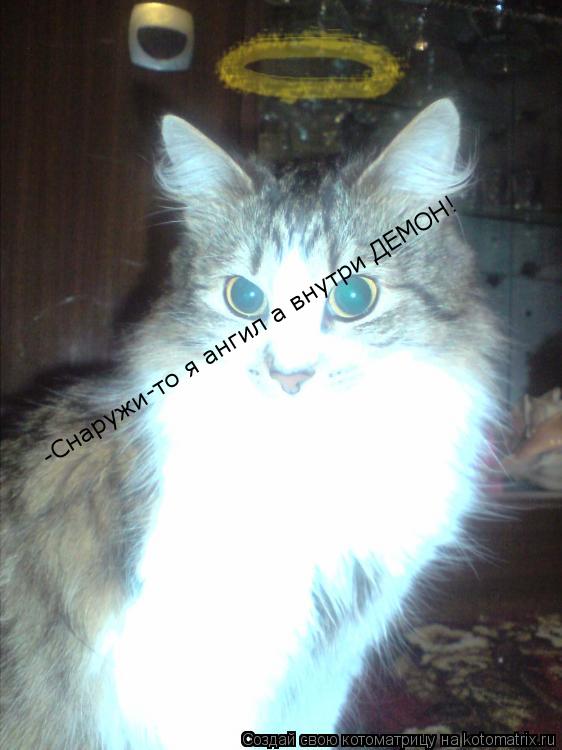 -Снаружи-то я ангил а внутри ДЕМОН!... Котоматрица: -Снаружи-то я ангил а внутри ДЕМОН!