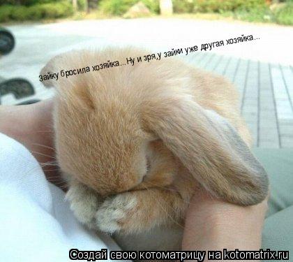 Зайку бросила хозяйка...Ну и зря,у зайки уже другая хозяйка... Зайку бросила хозяйка...Ну и зря,у зай... Котоматрица: Зайку бросила хозяйка...Ну и зря,у зайки уже другая хозяйка... Зайку бросила хозяйка...Ну и зря,у зайки уже другая хозяйка...