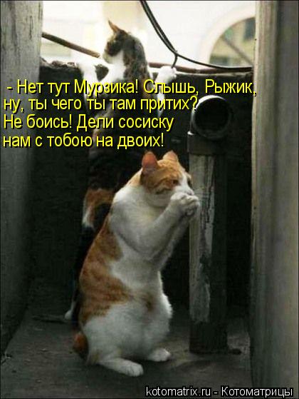 - Нет тут Мурзика! Слышь, Рыжик, ну, ты чего ты там притих? Не боись! Дели сосиску нам с тобою на дво... Котоматрица: - Нет тут Мурзика! Слышь, Рыжик, ну, ты чего ты там притих? Не боись! Дели сосиску нам с тобою на двоих!