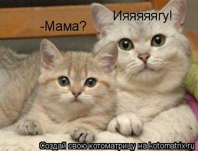 -Мама? Ияяяяягу!... Котоматрица: -Мама? Ияяяяягу!