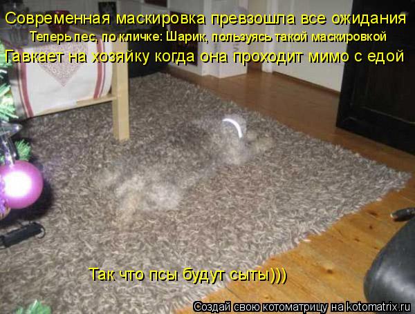 Современная маскировка превзошла все ожидания Теперь пес, по кличке: Шарик, пользуясь такой маскировк... Котоматрица: Современная маскировка превзошла все ожидания Теперь пес, по кличке: Шарик, пользуясь такой маскировкой Гавкает на хозяйку когда она прохо