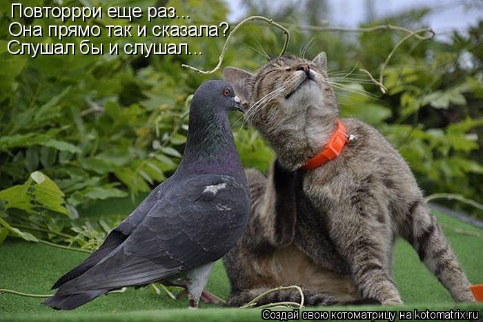 Повторрри еще раз... Она прямо так и сказала? Слушал бы и слушал...... Котоматрица: Повторрри еще раз... Она прямо так и сказала? Слушал бы и слушал...
