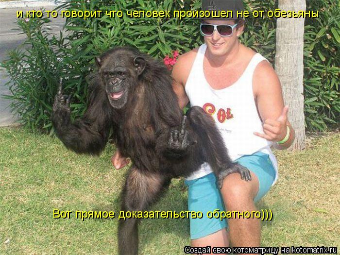 и кто то говорит что человек произошел не от обезьяны Вот прямое доказательство обратного)))... Котоматрица: и кто то говорит что человек произошел не от обезьяны Вот прямое доказательство обратного)))