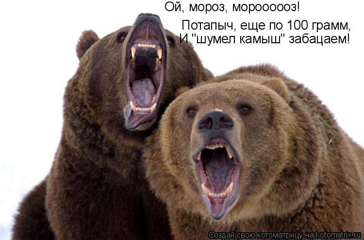 Ой, мороз, мороооооз! Потапыч, еще по 100 грамм, И "шумел камыш" забацаем!... Котоматрица: Ой, мороз, мороооооз! Потапыч, еще по 100 грамм, И "шумел камыш" забацаем!
