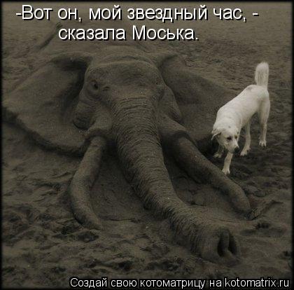 -Вот он, мой звездный час, - сказала Моська.... Котоматрица: -Вот он, мой звездный час, - сказала Моська.